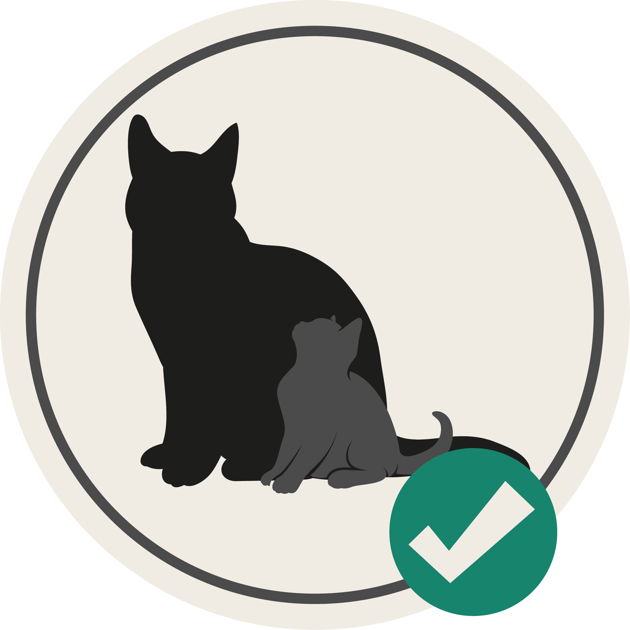 Een gelijkmatige groei bij jonge katten
